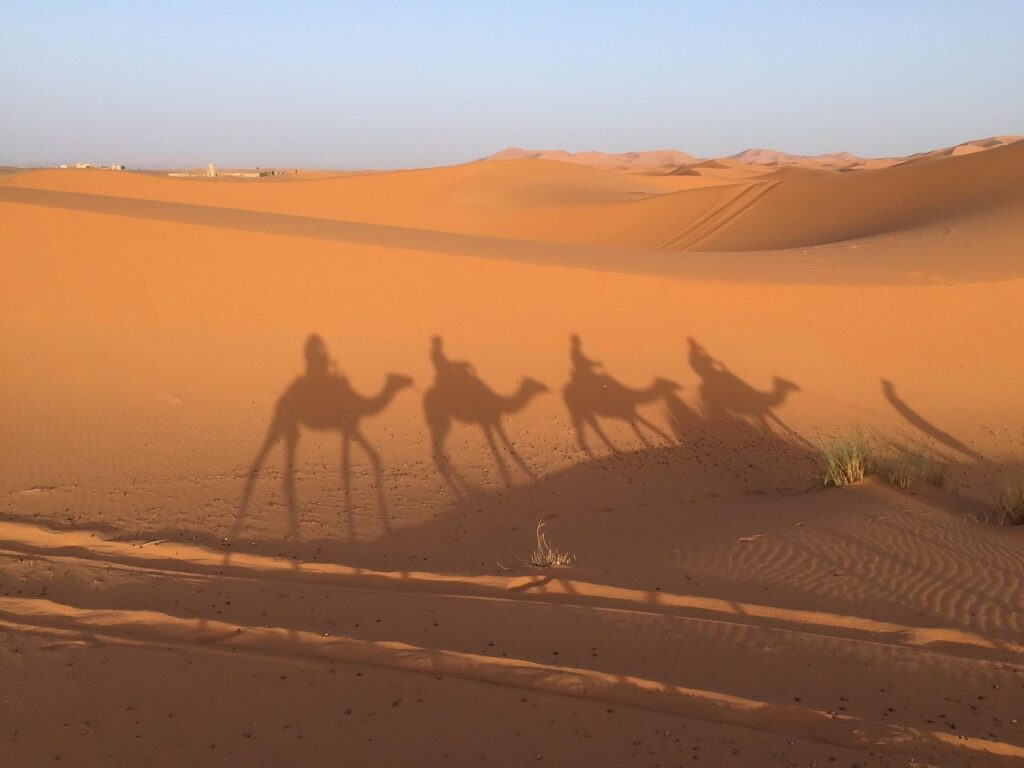 7 days from Marrakech to Fes