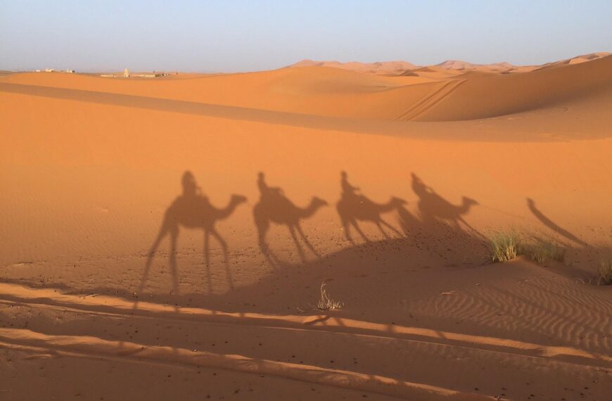 7 days from Marrakech to Fes