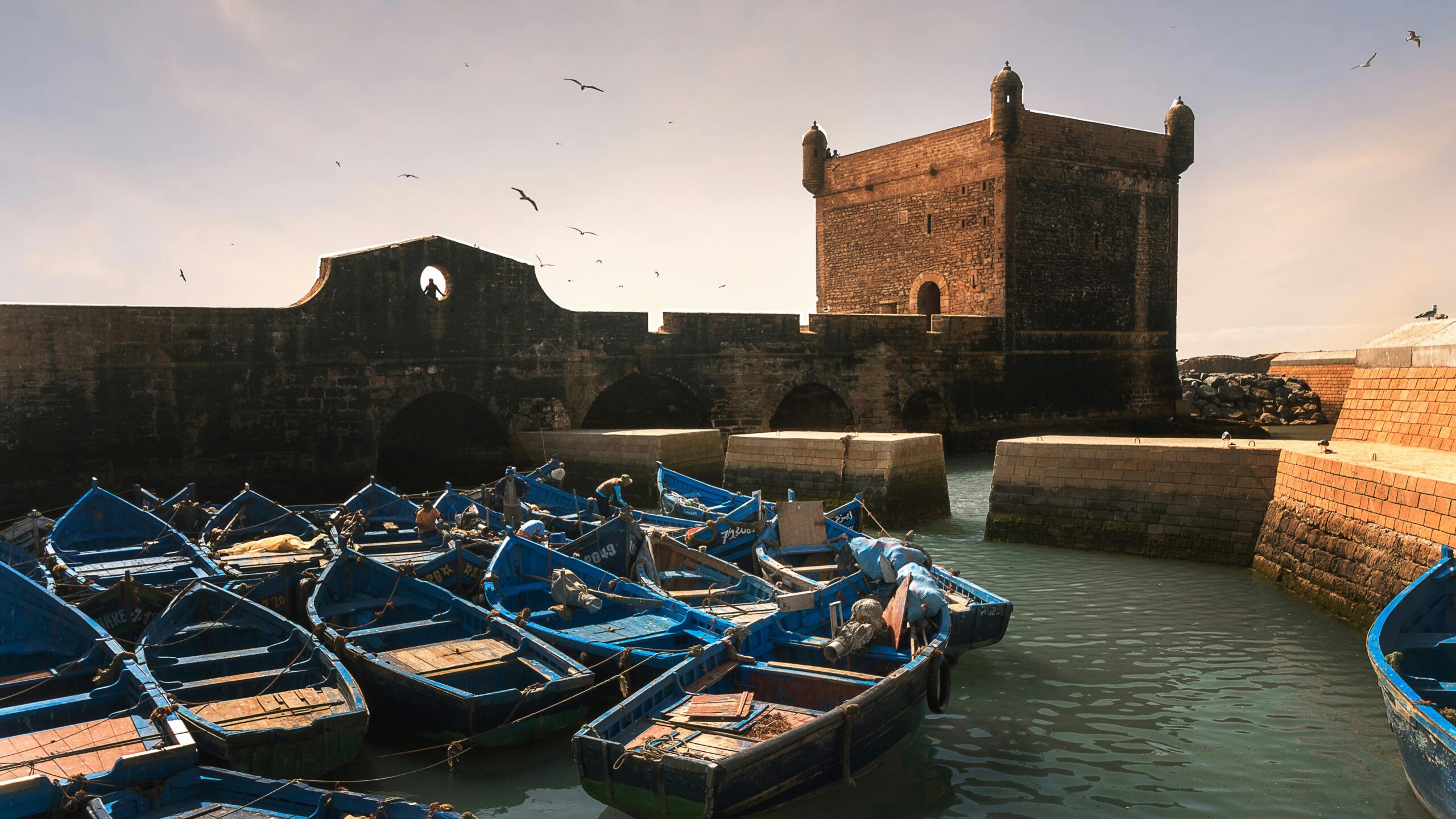 Day trip to Essaouira from Marrakech