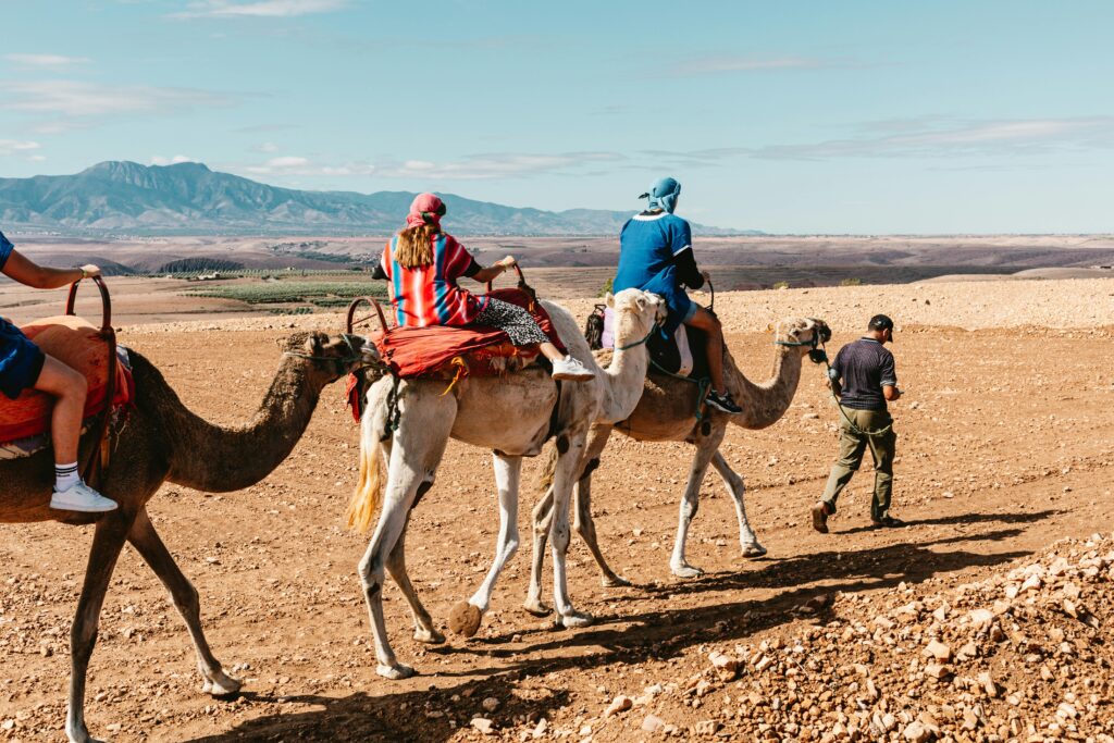A camel caravan travels through the desert near Lalla Takerkoust, Morocco.