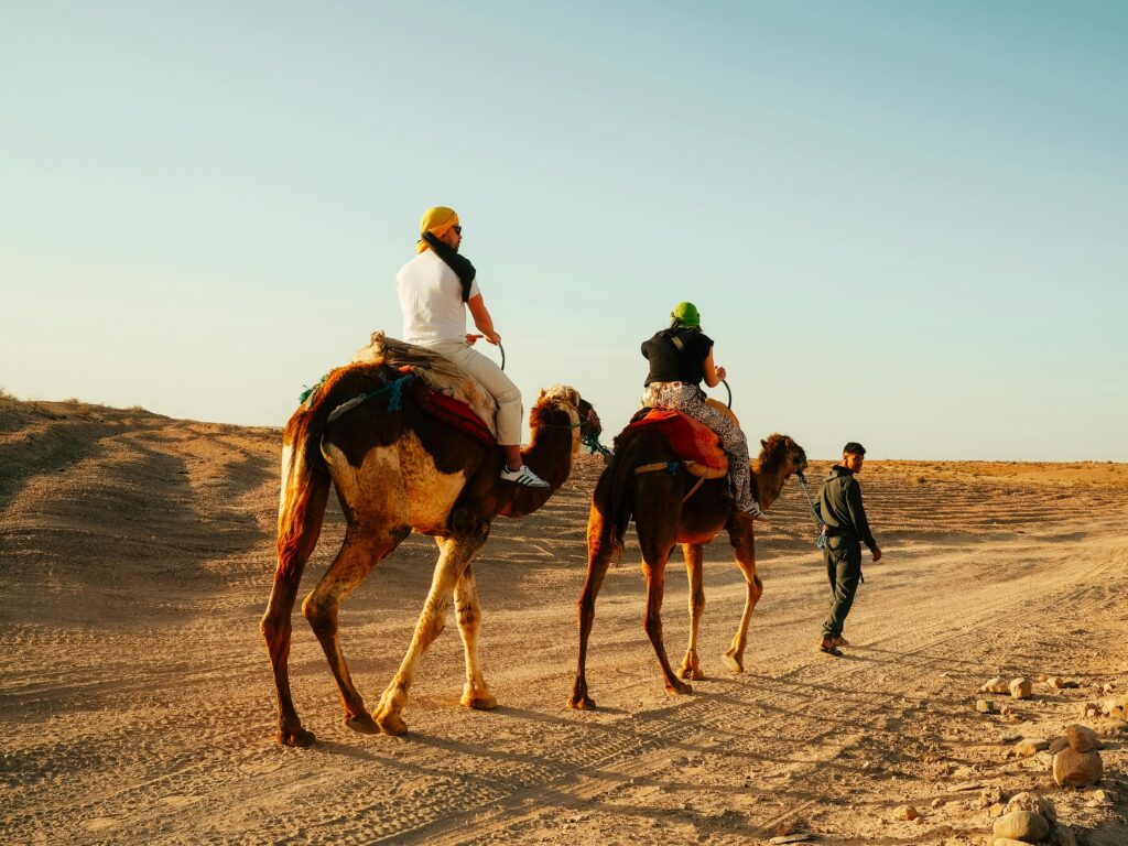 Day Trip to Agafay Desert