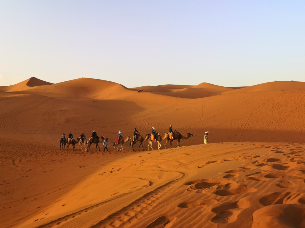 7 days tour from Casablanca to Marrakech