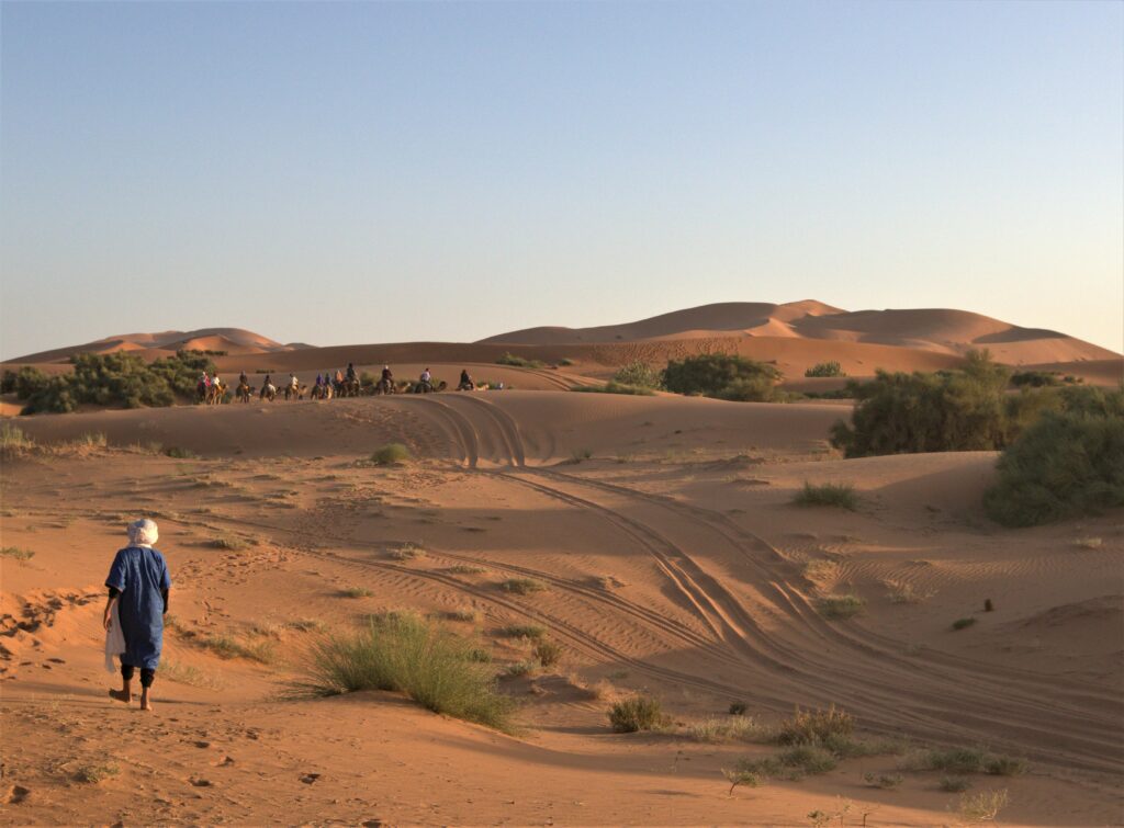 A captivating view of a camel caravan crossing the dunes in the Moroccan desert, featuring a blue-robed nomad.