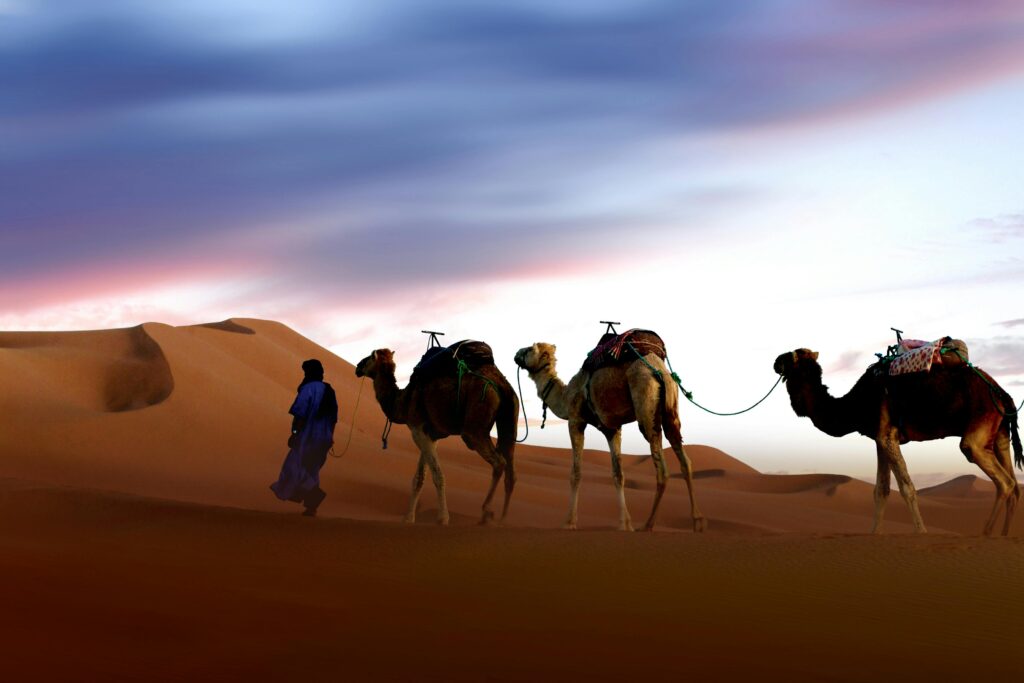 Camel caravan silhouetted against a vibrant sunset in the sands of Merzouga, Morocco.