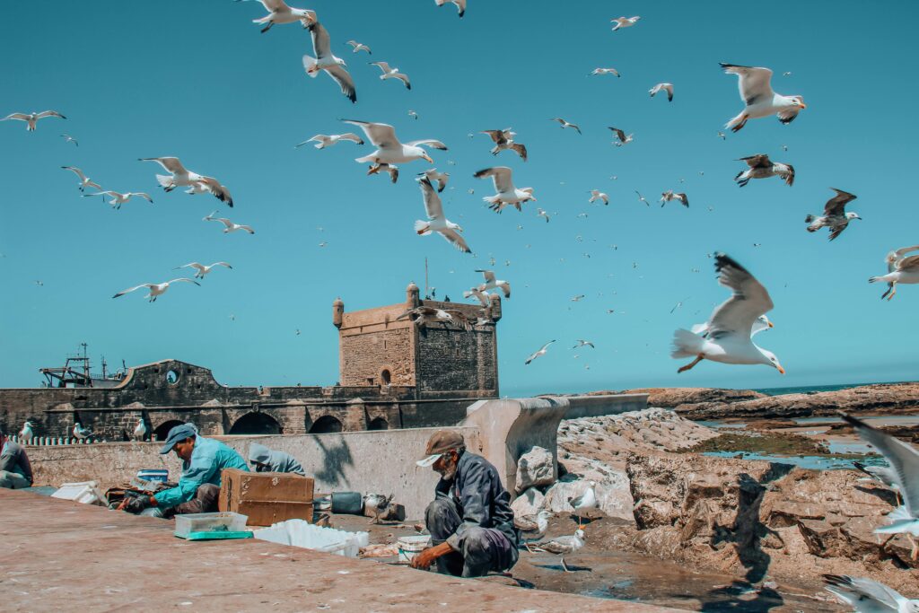 10 days tour From Fes to Marrakech