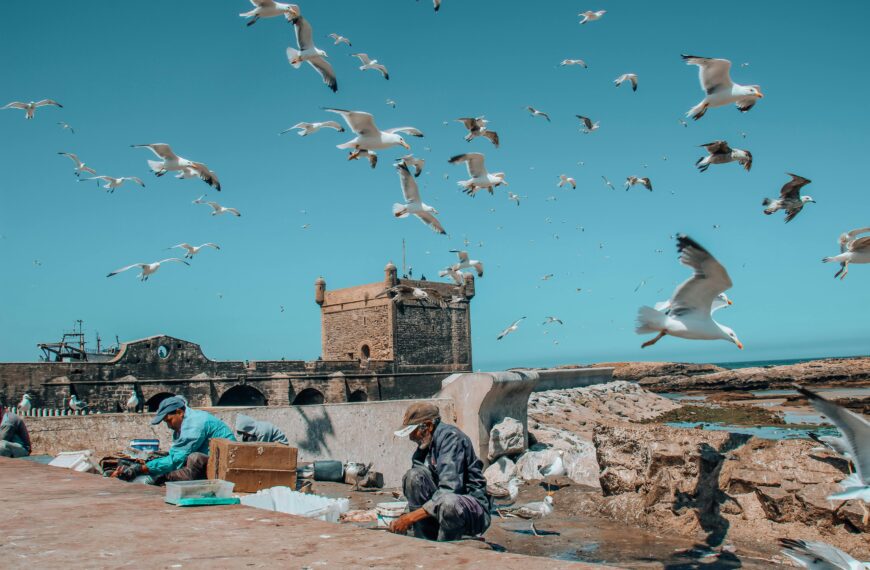 10 days tour From Fes to Marrakech