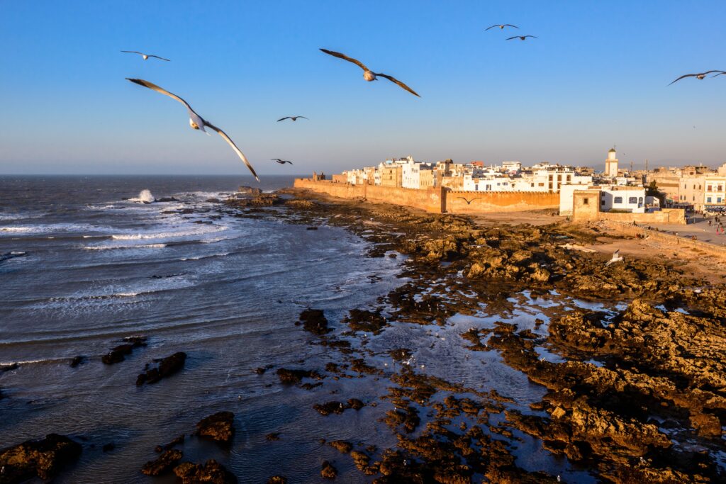 12 days Morocco tour from Tangier